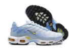 Nike Air Max Plus TN Body Fade - Image 2
