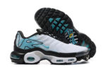 Nike Air Max Plus TN Mercurial Vapor - Image 2